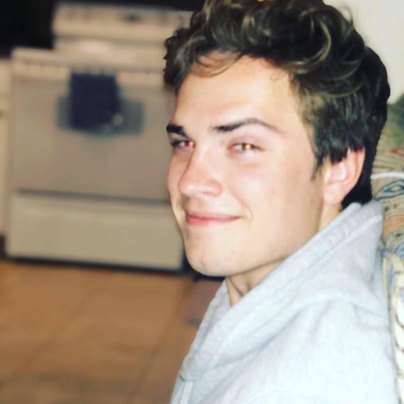 Meet your Posher, Colt - Picture 1 of 1